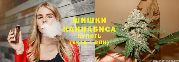 ГАЛЛЮЦИНОГЕННЫЕ ГРИБЫ Баксан