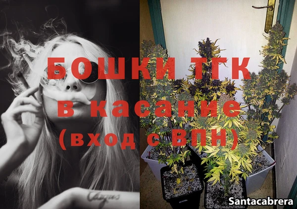 ГАЛЛЮЦИНОГЕННЫЕ ГРИБЫ Баксан