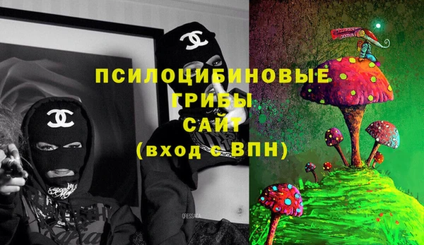 ГАЛЛЮЦИНОГЕННЫЕ ГРИБЫ Баксан